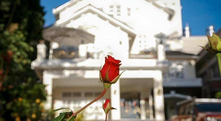 Hoa Sen Vang Hotel Dalat Esterno foto